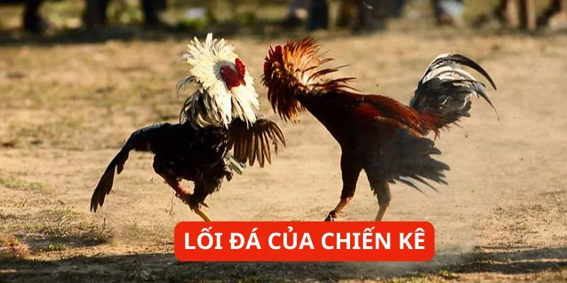 loi-da-cua-chien-ke